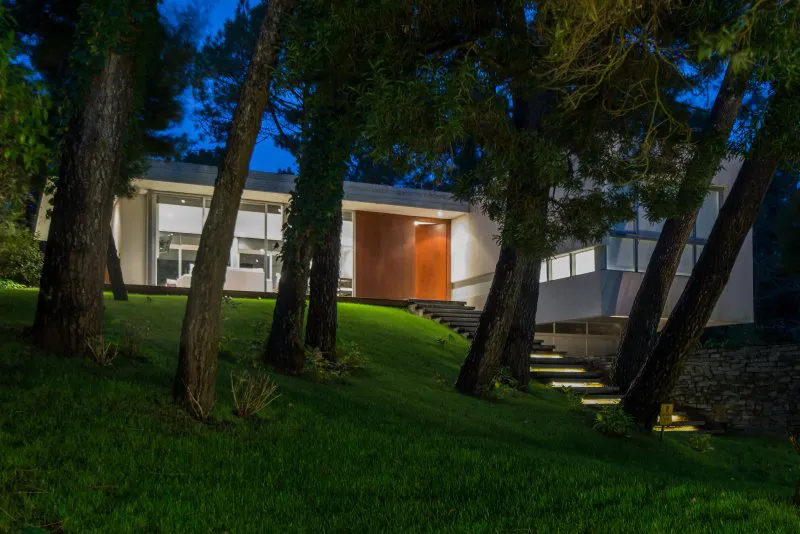 Con la poesía del bosque