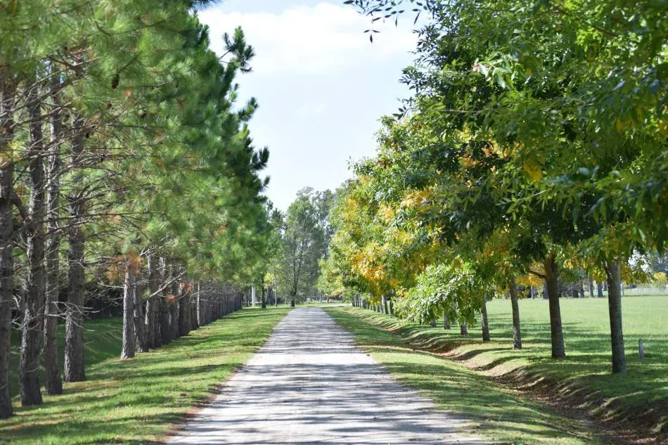 Auge de ventas en lotes y housing en Barrios Cerrados