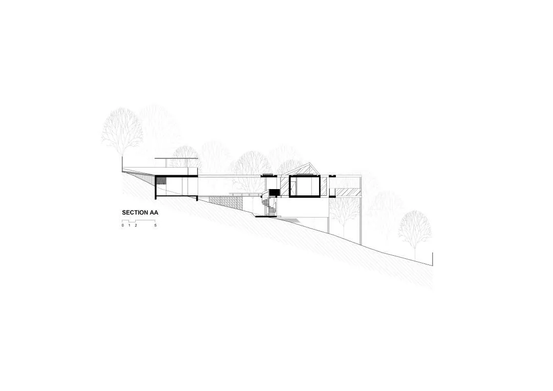tetro-plantas_03
