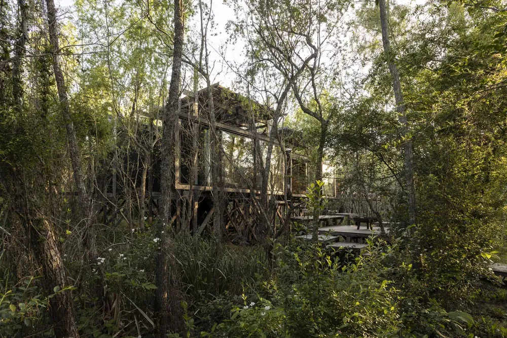 casa-libelula_04