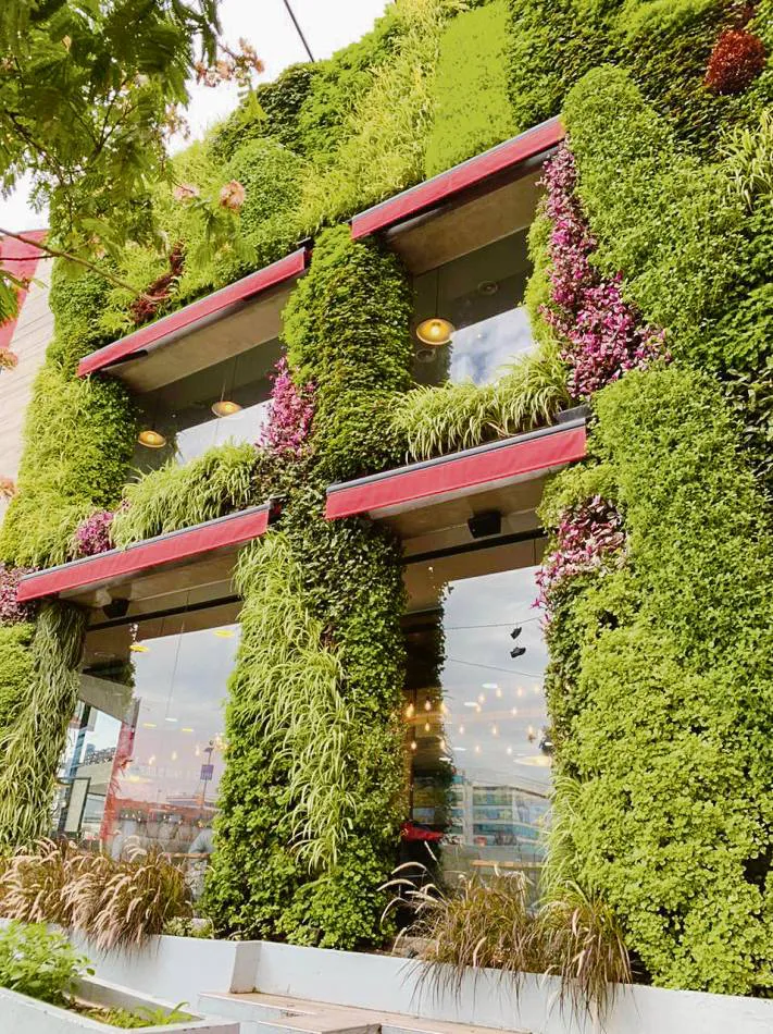 Jardines verticales: todo a favor