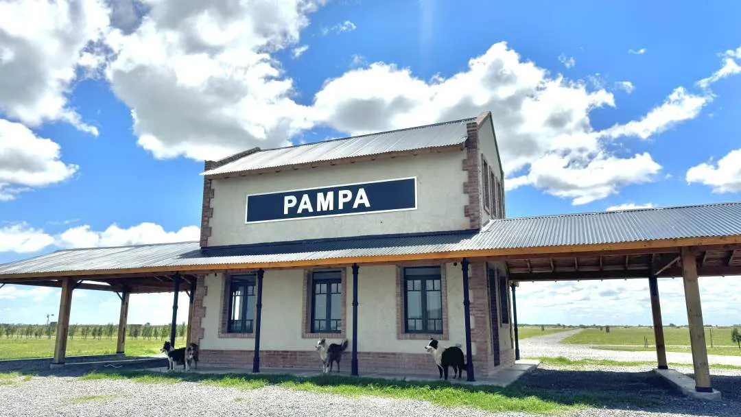 pampa_06