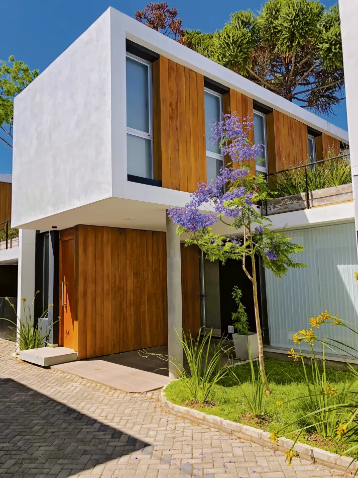 El lenguaje de un estudio