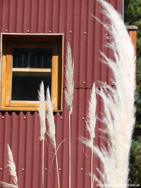 En el silencio del bosque