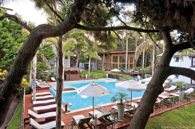 Entre el mar y el bosque