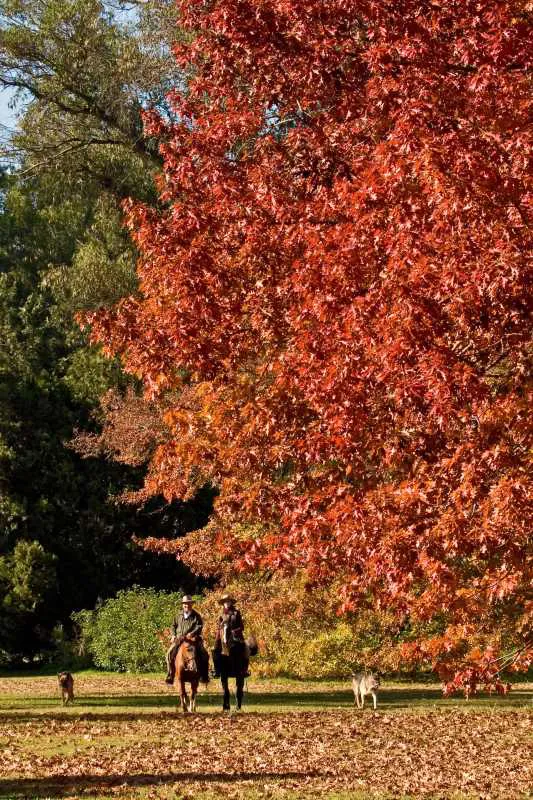 Conexión con la naturaleza
