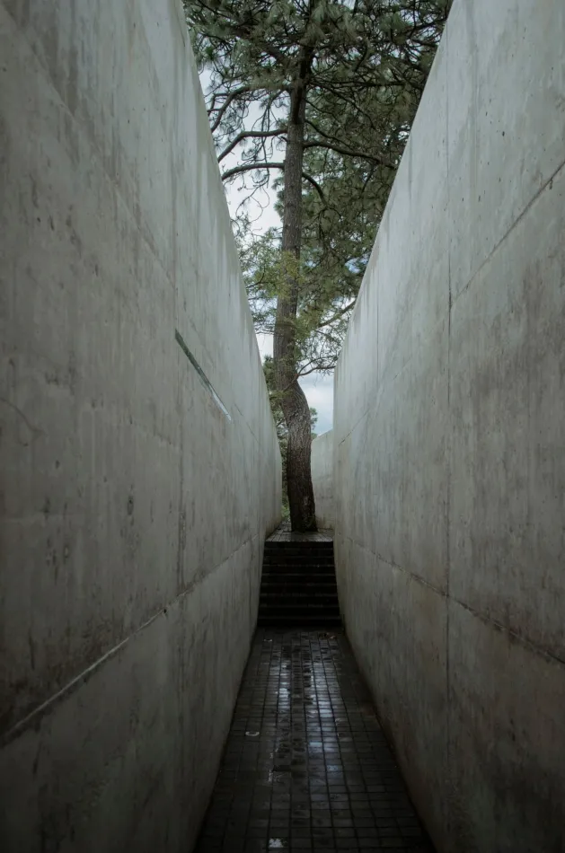 La casa de la colina