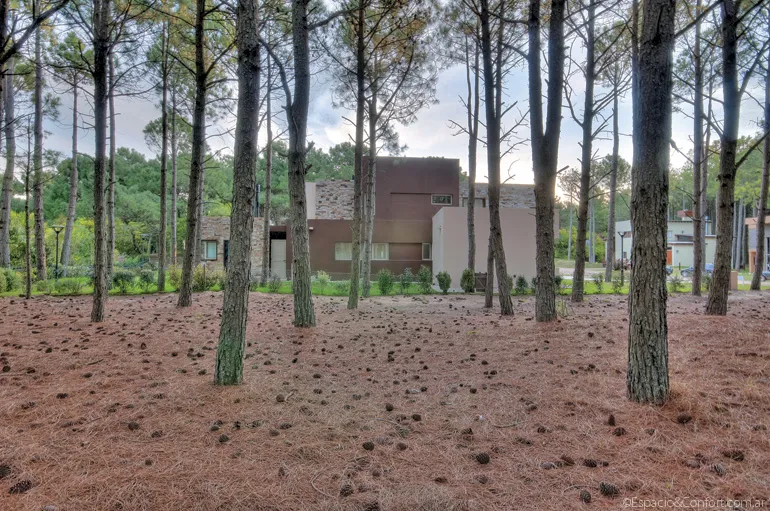 Un faro en el bosque