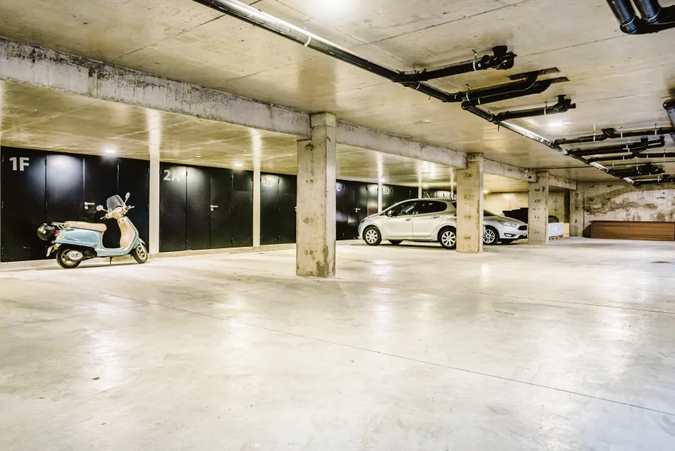 Respeto por la naturaleza