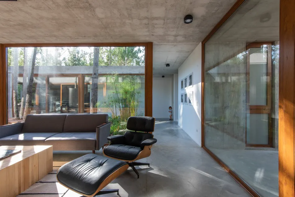El patio y la luz