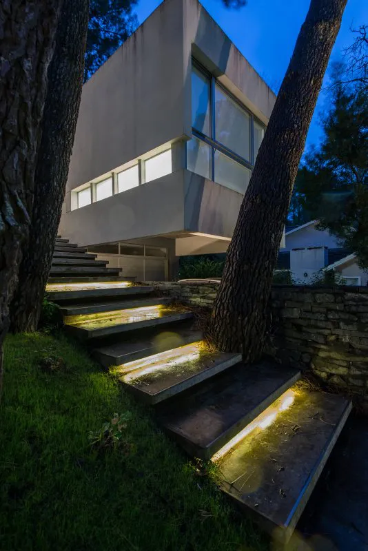 Con la poesía del bosque