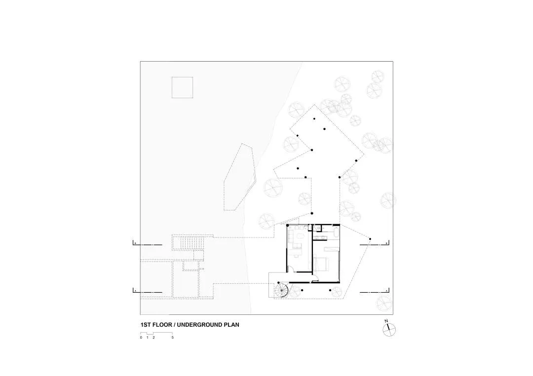 tetro-plantas_04