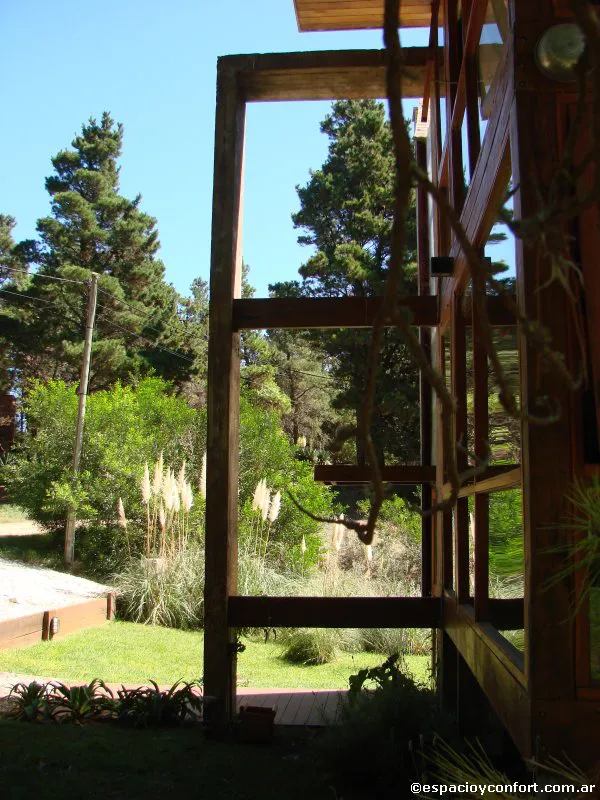 En el silencio del bosque