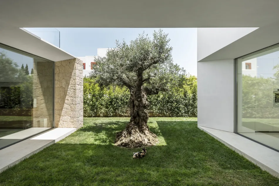 La casa de los tres árboles