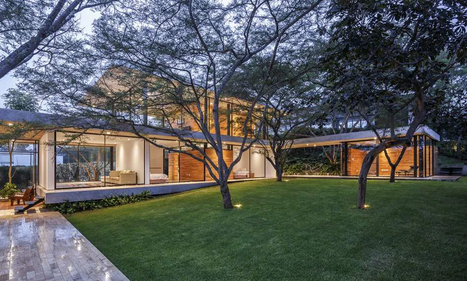 Vivir entre los árboles