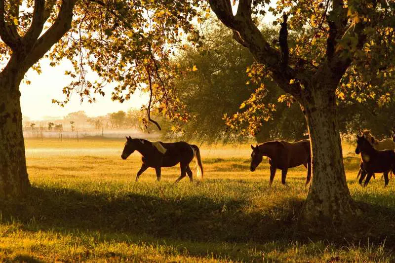 Conexión con la naturaleza