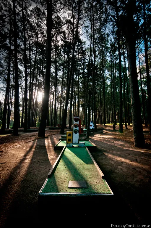 Entre el mar y el bosque