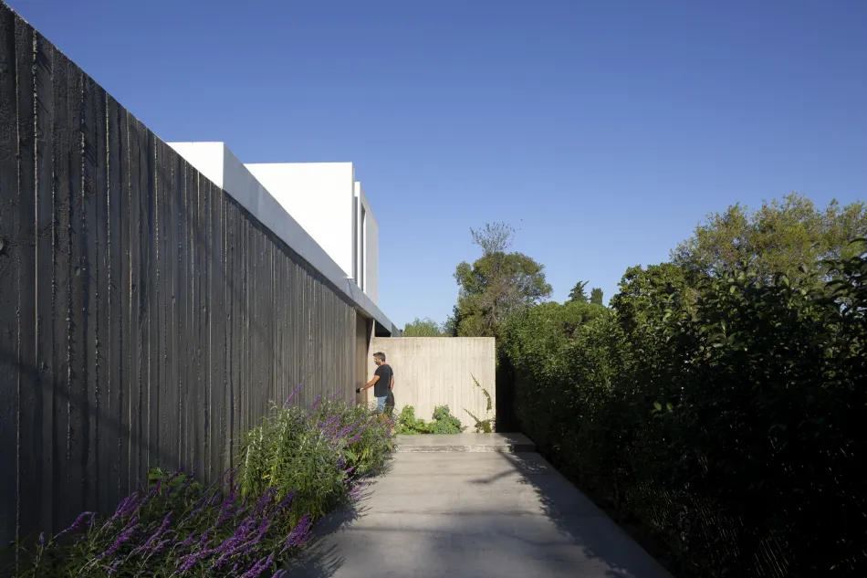 Atrapando la luz del sol