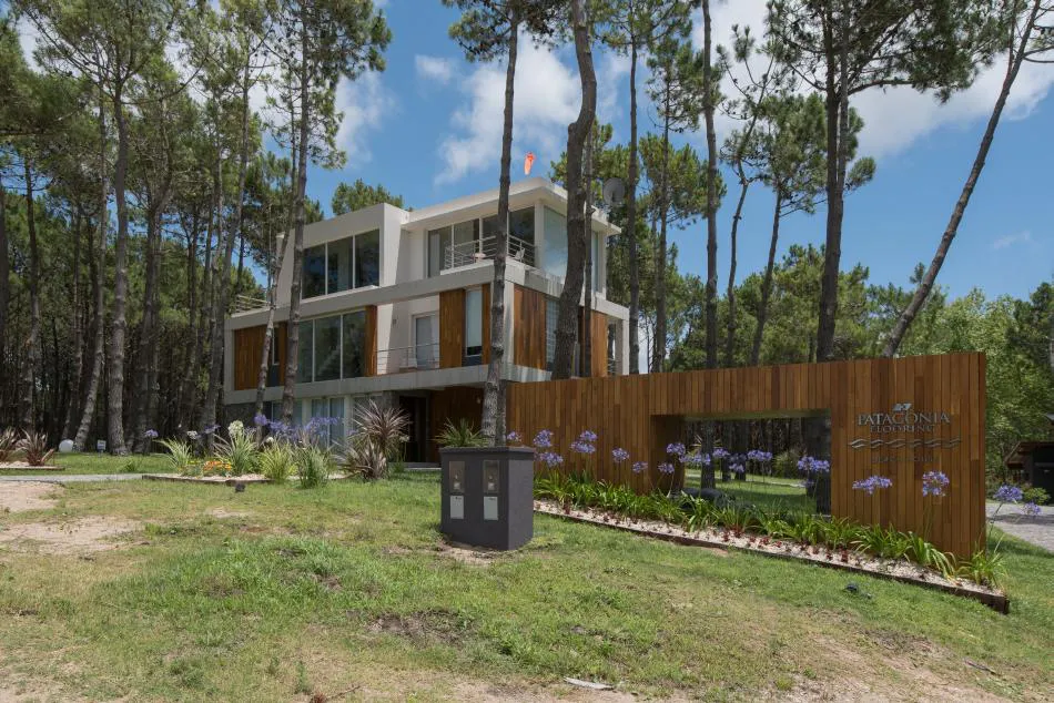 Entre el bosque y el mar