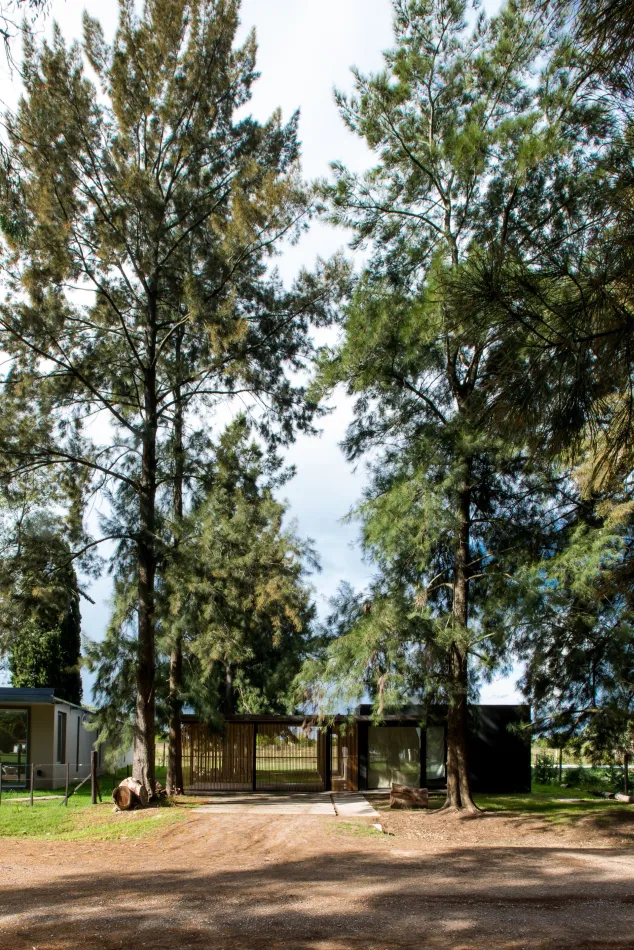 Conectada con la naturaleza