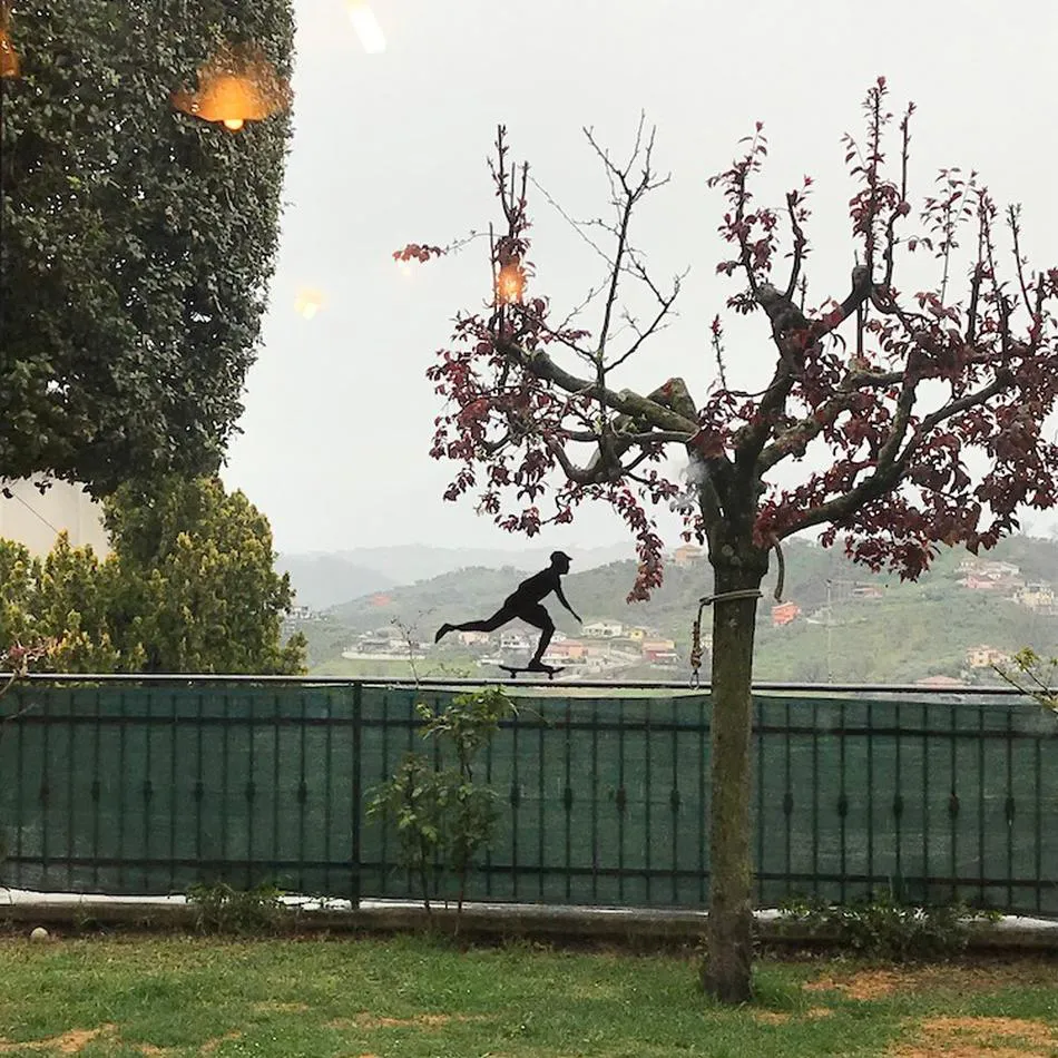 Transforma tus ventanas