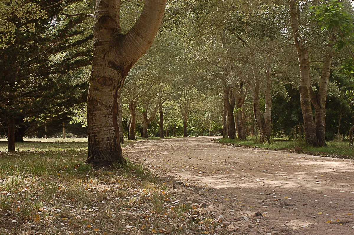 invertir en calidad de vida