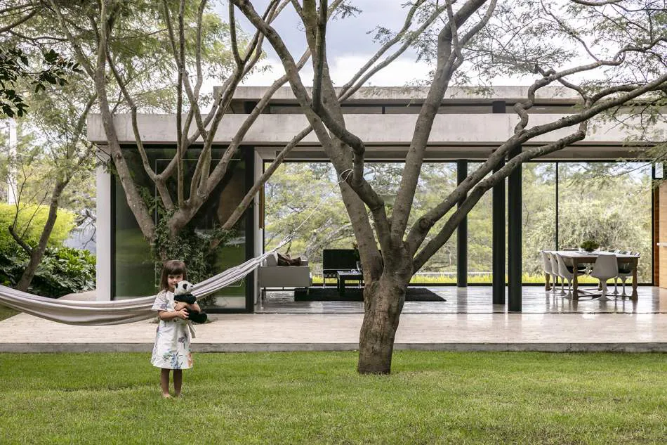 Vivir entre los árboles