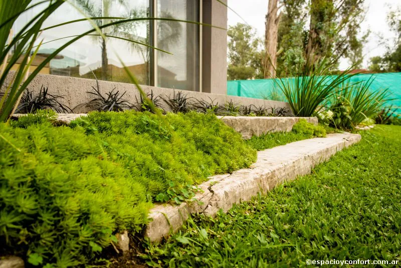 Mimetizarse con el entorno