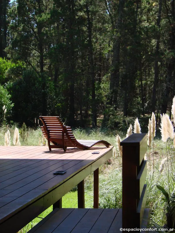 En el silencio del bosque