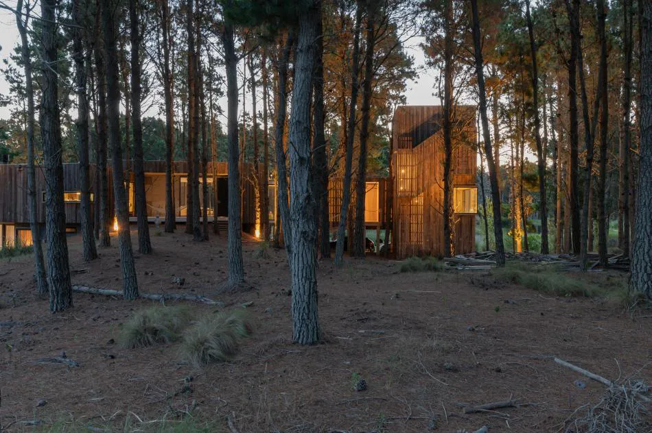 Fusión con la naturaleza