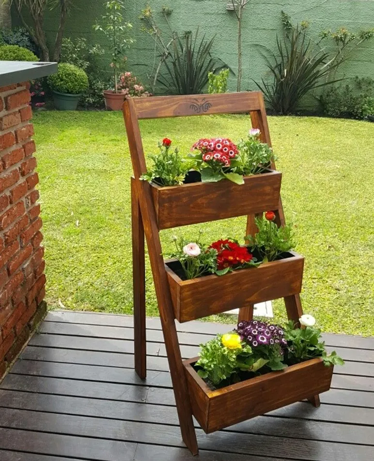 10 opciones para cultivar en casa