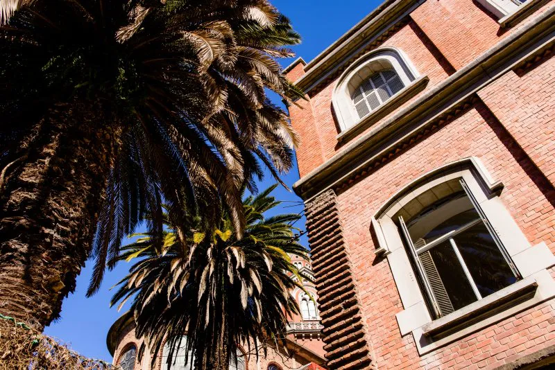 Belleza en entorno natural