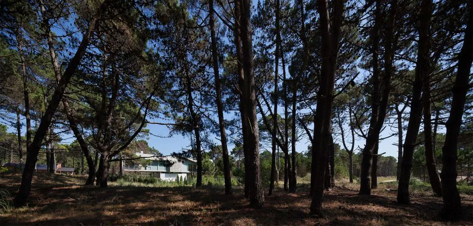 Para que la vida suceda