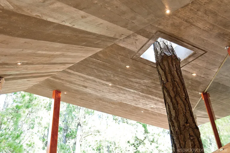 Lo técnico y lo artístico