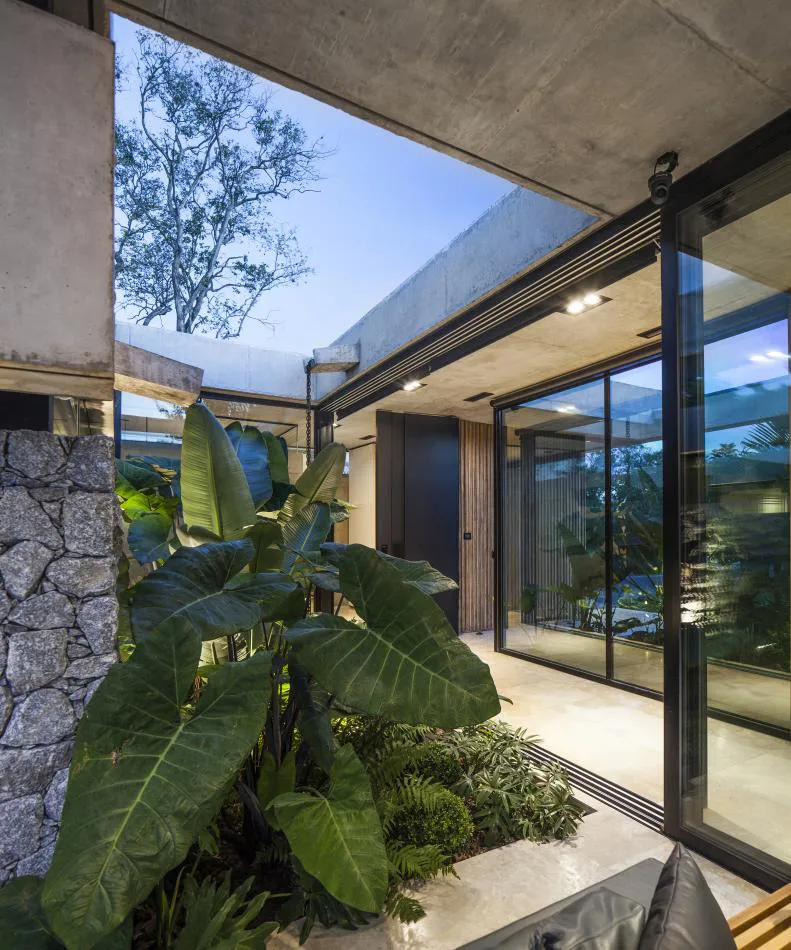 Profundidad y dinamismo