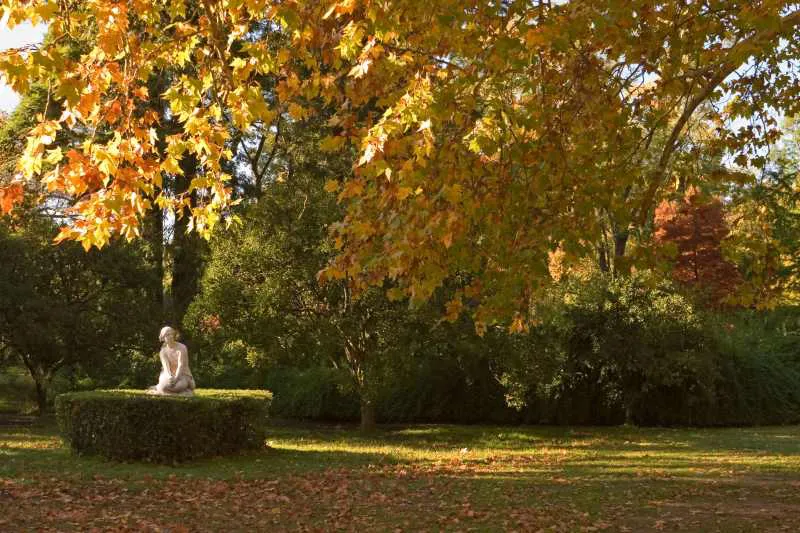 Conexión con la naturaleza