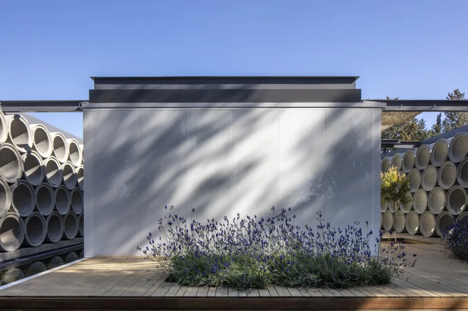 Con acento en lo singular