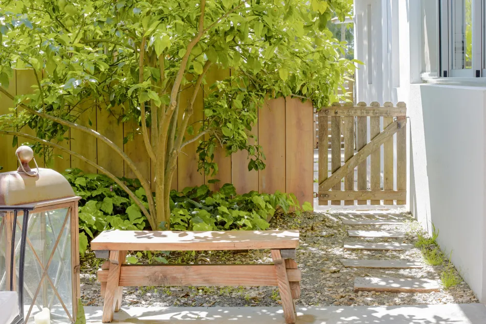 La madera naturalmente perfecta