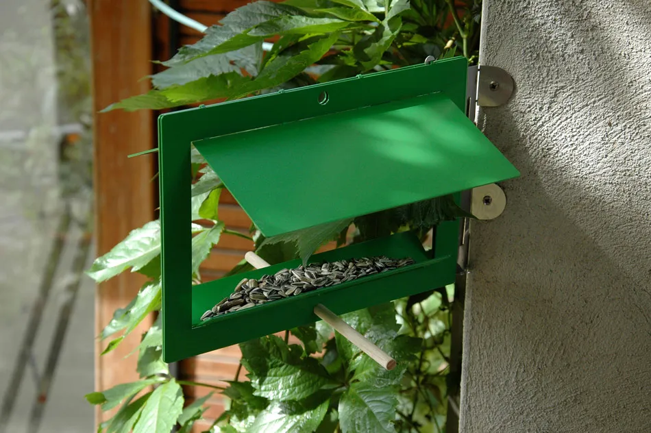 Para aves minimalistas