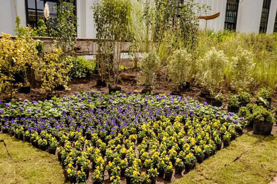 Estilo Pilar 2018: El Vivero