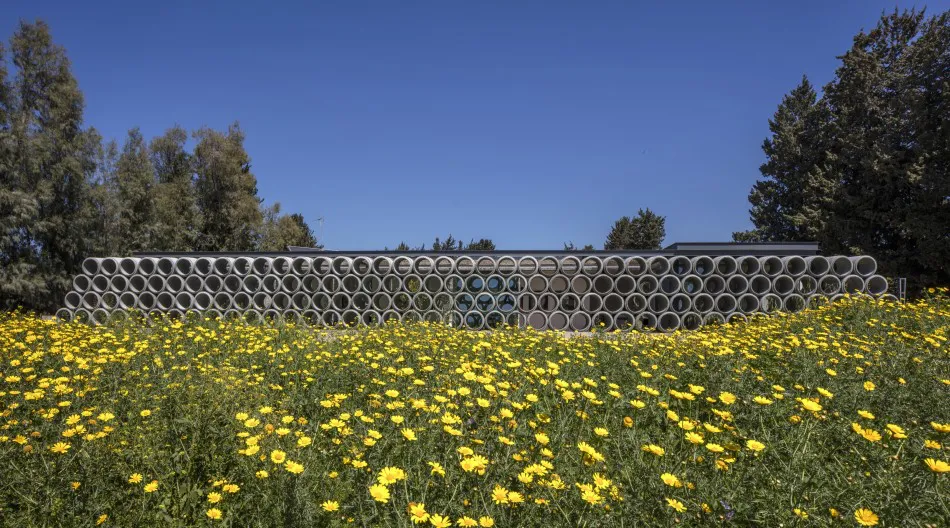 Con acento en lo singular