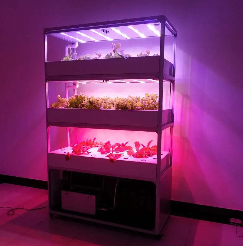 Cultivar vegetales en casa