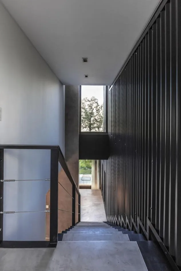 Articulación y fluidez