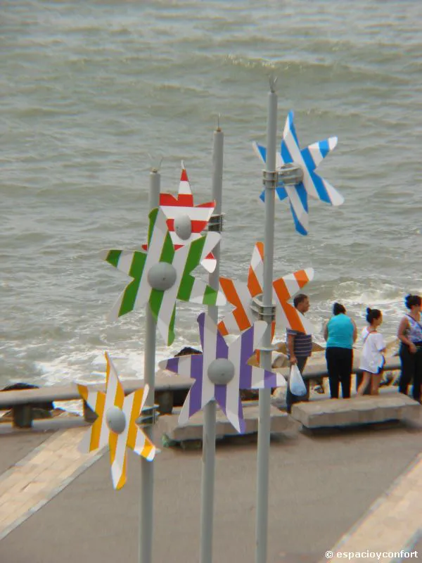 Mirando el mar