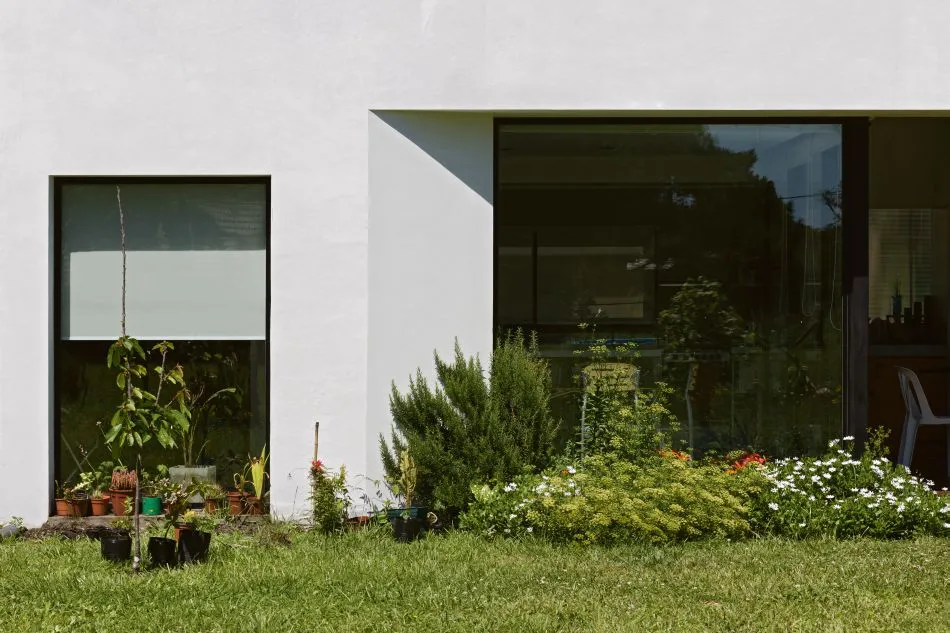 Lucerna, luces y sombras