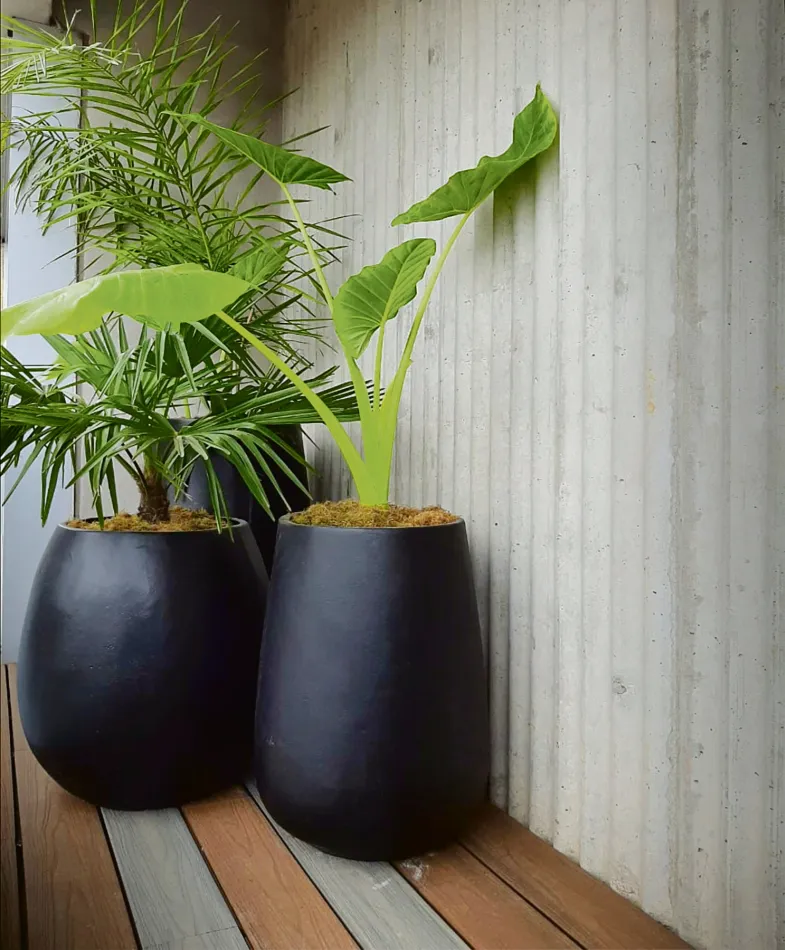 Experiencia Satélite Casa FOA