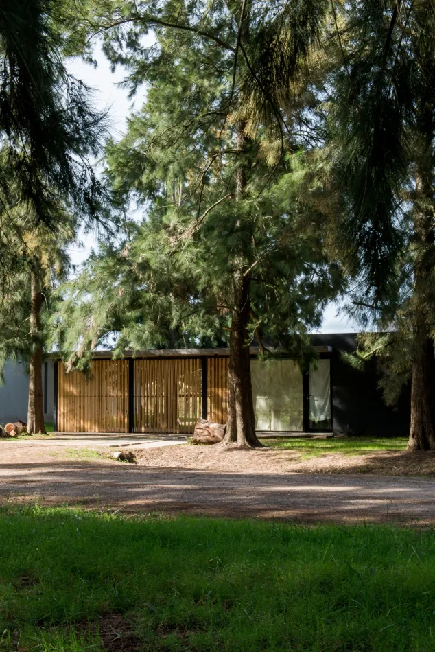 Conectada con la naturaleza