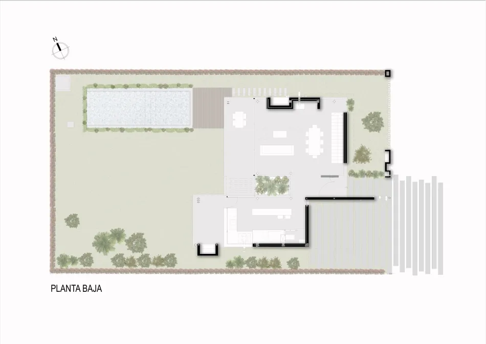 Desdibujando los límites