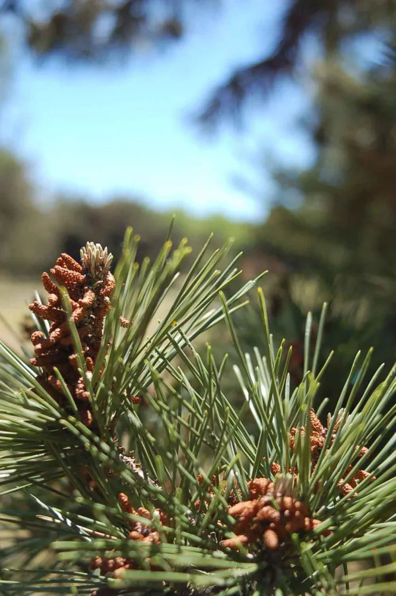 invertir en calidad de vida