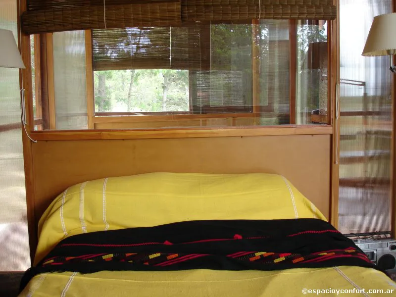 En el silencio del bosque